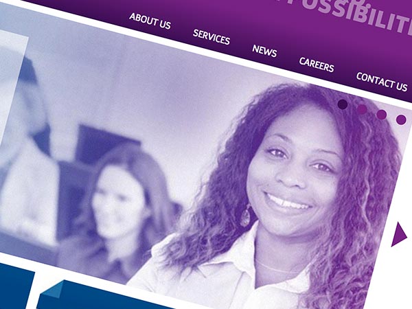 Thumbnail of Standard Technology Branded website