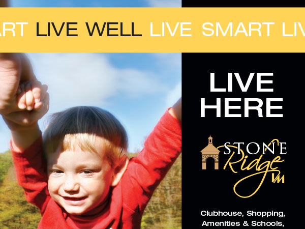 New Stone Ridge Campaign Thumbnail