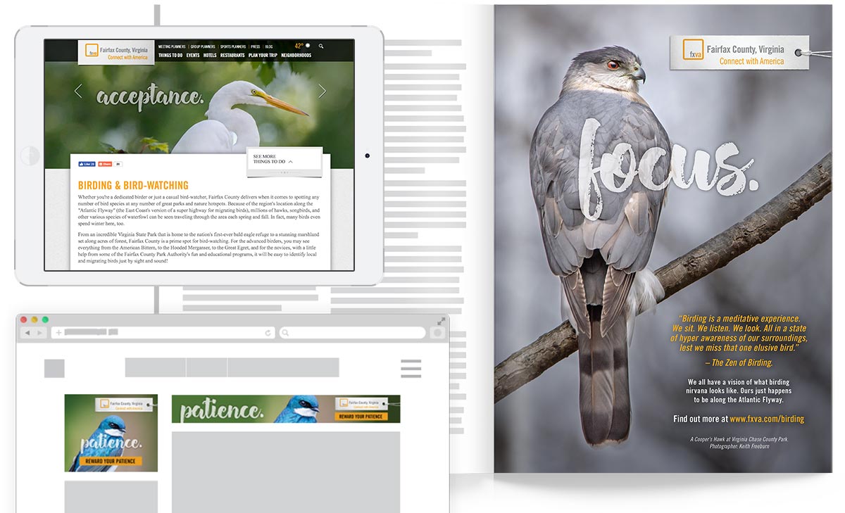 Images of VisitFairfax Zen Birds campaign website, banners, and magazine ad, featuring artistic pictures of birds found in Fairfax County.