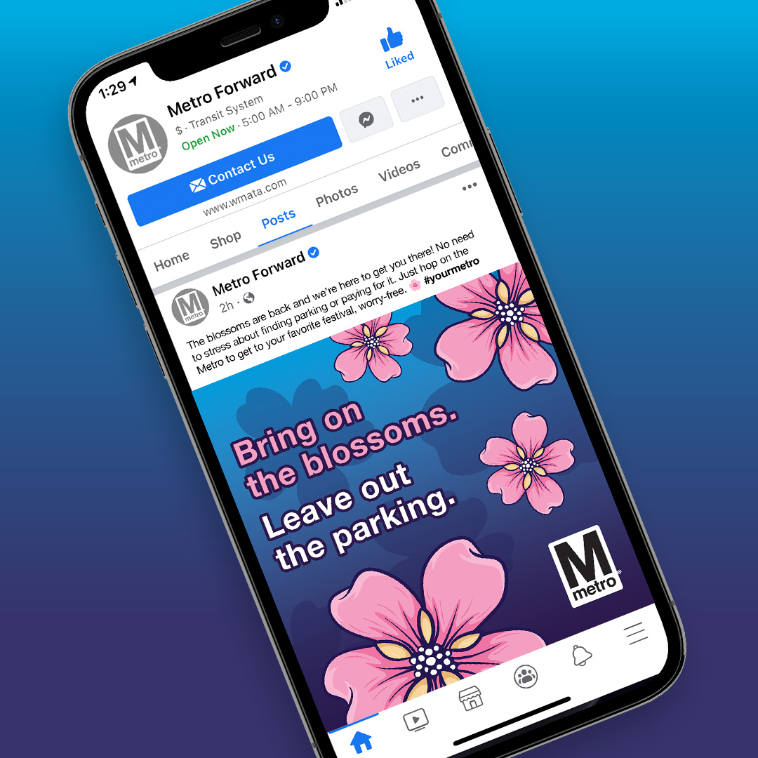 Social media post with big pink blossoms encouraging readers to take the Metro to see the cherry blossoms