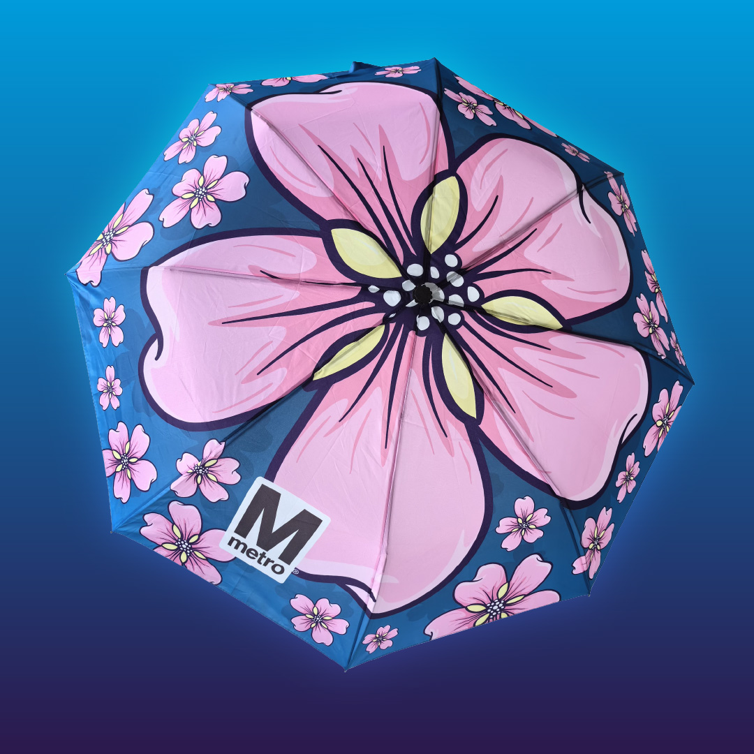 blue umbrella covered with 1 really big cherry blossom and many small ones.